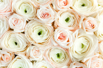 Bouquet, texture of pink ranunculus and roses flower close up. Flat lay, top view. Ranunculus flower texture. 