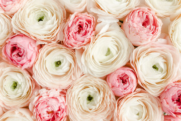 Bouquet, texture of pink ranunculus and rose flower buds close up. Flat lay, top view. Ranunculus flower texture.  - obrazy, fototapety, plakaty