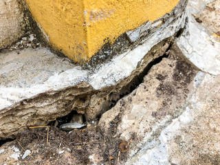 The cement floor collapsed and saw the crevices into the hollow