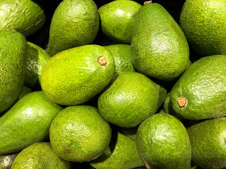 Organic Raw Green Avocados.