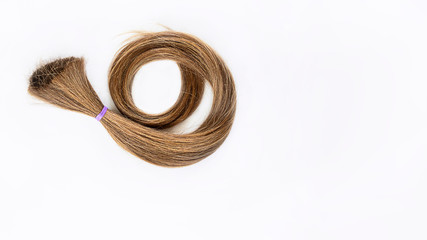 long blond hair donation tightened with violet ribbon ponio for cancer patient on white background. Natural material for making wig. Horizontal, isolated with copy space.