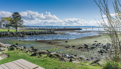 Creek And Sea