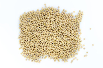 Closeup of soy beans on white background, selective focus (detailed close-up shot) 