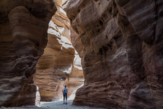 Woman In The Red Canyon