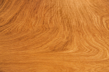 Obraz premium brown natural wood background wood texture