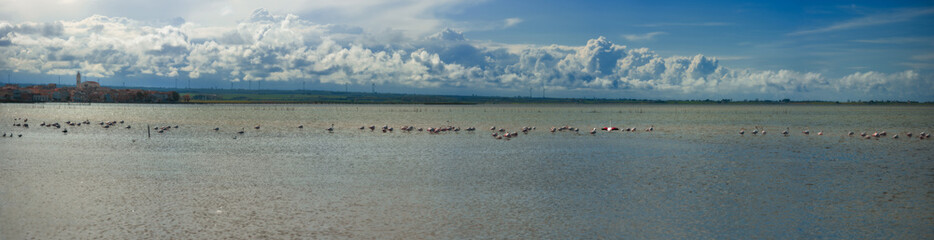 Lake Lesina and its flamingos