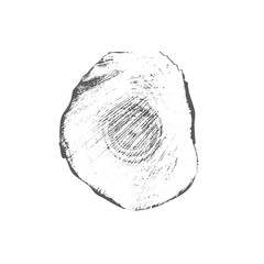 Texture wood. Round carved tree, vector isolated illustration.