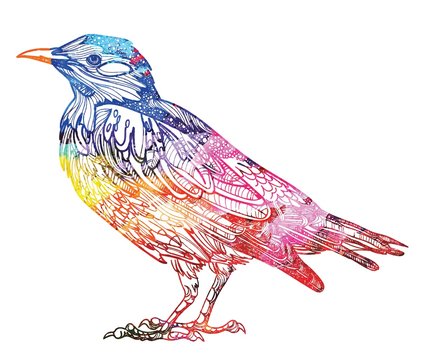recommend clip art: Starling. Spotted bird. Ethnic pattern. Meditative coloring. Mandala, dudling drawing. Drawing from the hand. Points, stripes, arrows, flowers.