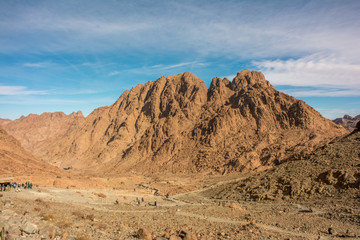 the nature of Sinai desert