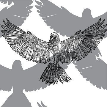 Seamless pattern with birds. The birds are flying. Doodling, mandala pattern. Drawing by hand. Stylish background. Indian style.