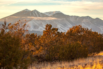 Sunset on Juniper Trees