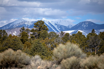Snow-covered Peaks
