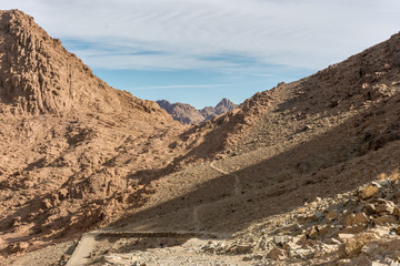 the nature of Sinai desert