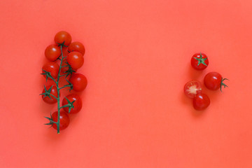 Cherry tomatoes on a coral red background