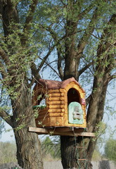 Tree house for kids