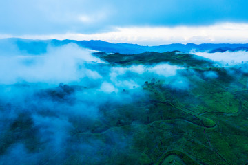 Naklejka premium Misty morning above tea plantation hill