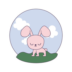 cute rabbit animal in landscape