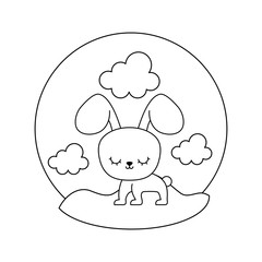 cute rabbit animal in landscape