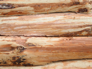 rough processed tree trunks as texture, background and pattern