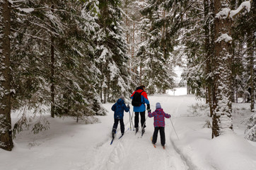 Fototapeta na wymiar A man and two children go skiing in the winter forest. The viewer sees people from the back. In the distance you can see the exit from the forest. Winter time. The trees are covered with snow.