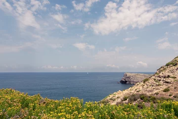 Fotobehang landscape of cliffs on the coast © David