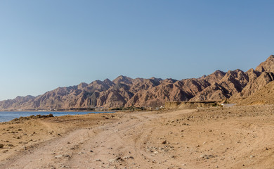 the nature of Sinai desert