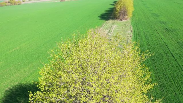 Aerial Europe Valley Farming crops agricultural arable farmland vegetation water field industry investment nature, early spring