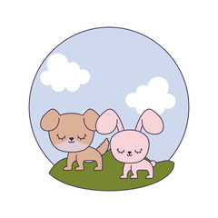 cute rabbit with dog in landscape