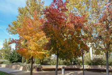 Lleida - ancient city in Catalonia, Spain