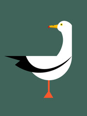 Seagull on dark background