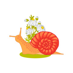Snail on the grass and chamomile. Colorful hand drawn vector paster.