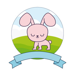 cute rabbit in landscape with frame and ribbon