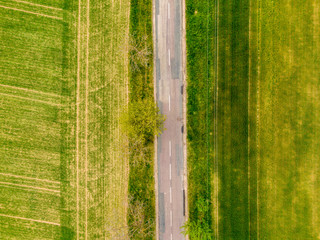 Aerial view of agriculture fields, meadow and road inside. Rural scene of countryside. Fresh green colors, look to above tree. Day on spring after rain