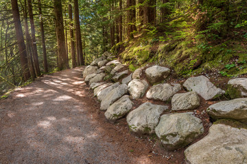 View at Trail in Park. Rice Lake. Vancouver. Canada.