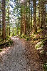 View at Trail in Park. Rice Lake. Vancouver. Canada.