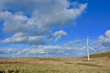 Fototapeta na wymiar Wind Farm