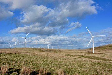 Wind Farm