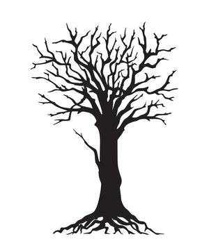 Black silhouette tree with roots without leaves