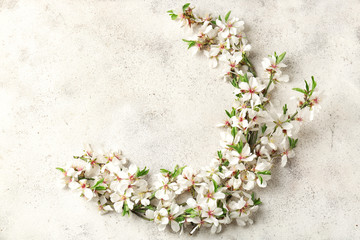 Beautiful blossoming branches on light background