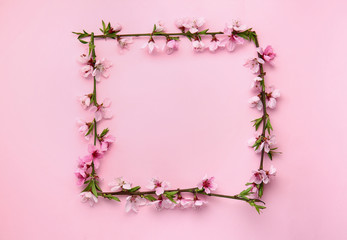 Frame made of beautiful blooming branches on color background