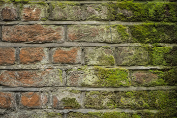 weatherd wall on a graveyard
