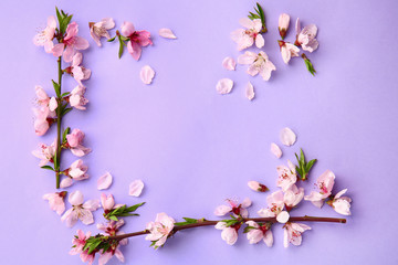 Frame made of beautiful blooming branches on color background