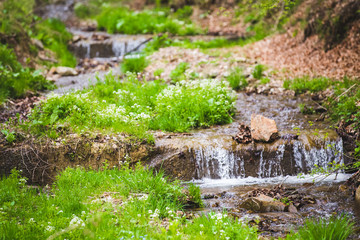 Fototapeta na wymiar Refreshing summer mountain waterfall background