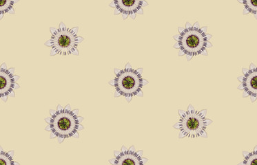  Vintage Beautiful and trendy Seamless Spring Pattern design in super high resolution. Pattern Decoration Texture. Vintage Style Design for Fabric Print, Wallpaper Background.