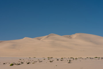 Fototapeta na wymiar Coastal Sand Dunes from the road near Walvis Bay, Namibia
