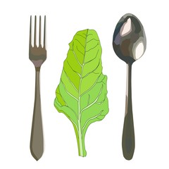 realistic silver fork and spoon with green chard salad isolated in white