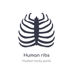 human ribs outline icon. isolated line vector illustration from human body parts collection. editable thin stroke human ribs icon on white background