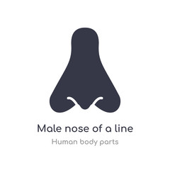 male nose of a line outline icon. isolated line vector illustration from human body parts collection. editable thin stroke male nose of a line icon on white background