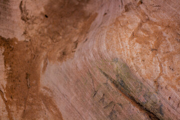 rock in the canyon