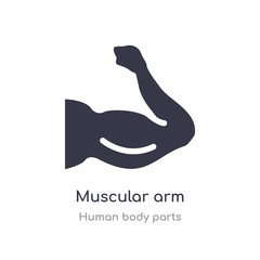 muscular arm outline icon. isolated line vector illustration from human body parts collection. editable thin stroke muscular arm icon on white background
